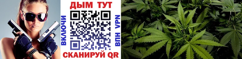 Купить  Егорьевск  Каннабис конопля 